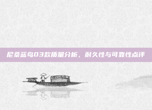 尼桑蓝鸟03款质量分析，耐久性与可靠性点评