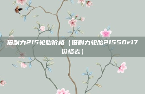 倍耐力215轮胎价格（倍耐力轮胎21550r17价格表）