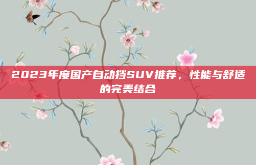 2023年度国产自动挡SUV推荐,性能与舒适的完美结合