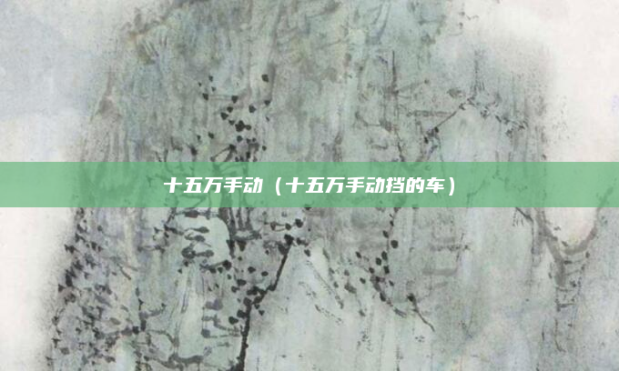 十五万手动（十五万手动挡的车）