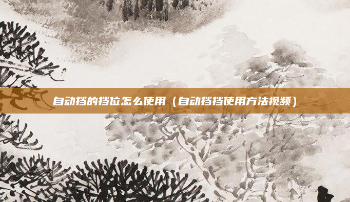 自动挡的挡位怎么使用(自动挡挡使用方法视频)