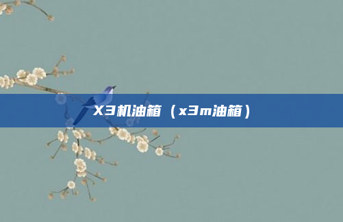 X3机油箱(x3m油箱)