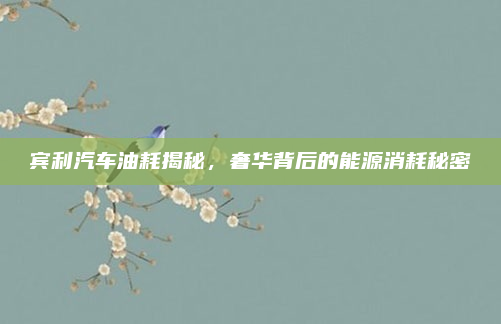 宾利汽车油耗揭秘，奢华背后的能源消耗秘密