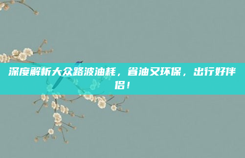深度解析大众路波油耗，省油又环保，出行好伴侣！