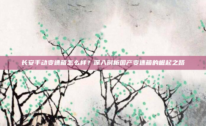 长安手动变速箱怎么样？深入剖析国产变速箱的崛起之路