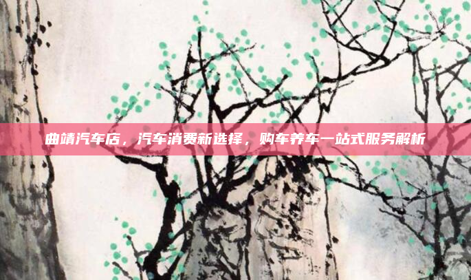 曲靖汽车店，汽车消费新选择，购车养车一站式服务解析