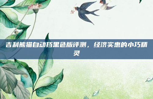 吉利熊猫自动挡黑色版评测，经济实惠的小巧精灵