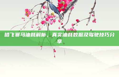 哈飞赛马油耗解析，真实油耗数据及驾驶技巧分享