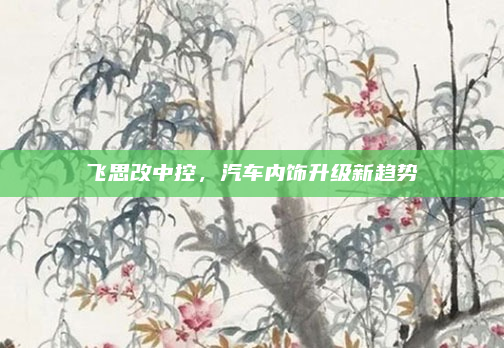 飞思改中控，汽车内饰升级新趋势
