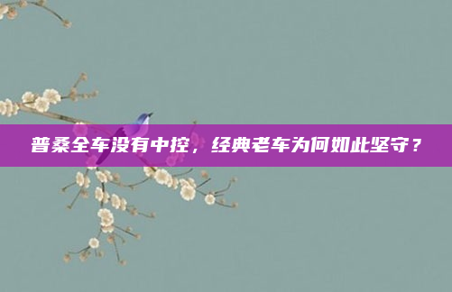 普桑全车没有中控，经典老车为何如此坚守？