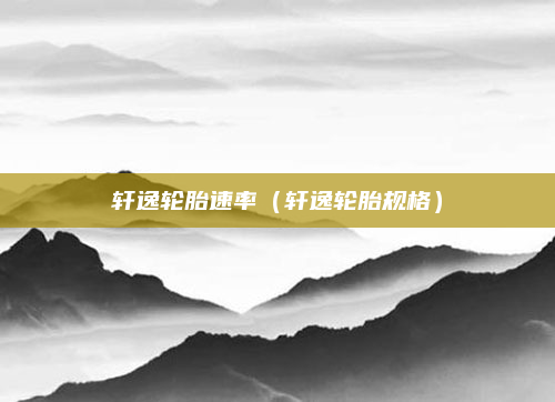 轩逸轮胎速率（轩逸轮胎规格）
