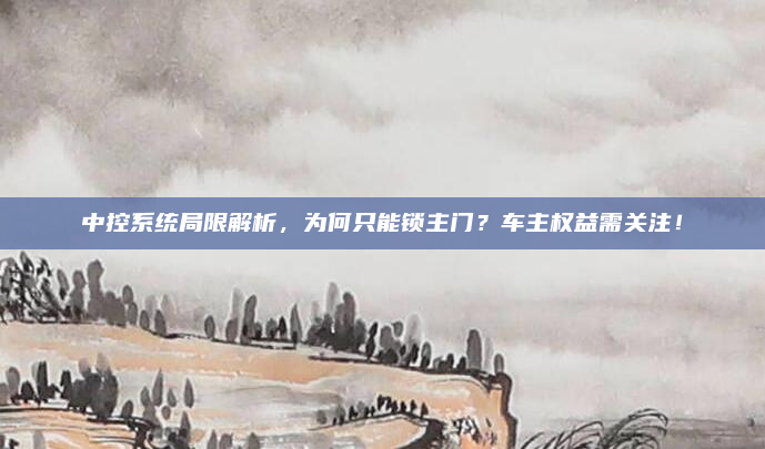 中控系统局限解析,为何只能锁主门?车主权益需关注!