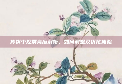 传祺中控屏亮度解析，如何调整及优化体验