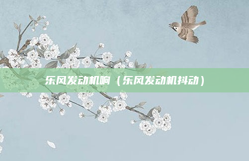乐风发动机响（乐风发动机抖动）