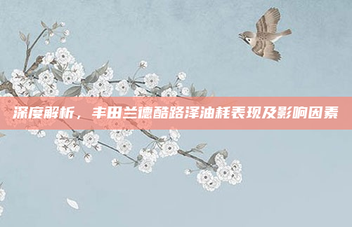 深度解析,丰田兰德酷路泽油耗表现及影响因素