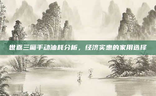 世嘉三厢手动油耗分析,经济实惠的家用选择