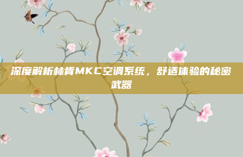 深度解析林肯MKC空调系统，舒适体验的秘密武器