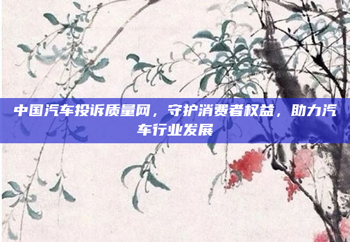 中国汽车投诉质量网,守护消费者权益,助力汽车行业发展