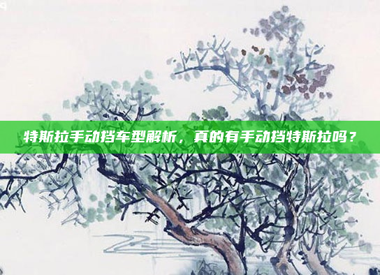 特斯拉手动挡车型解析，真的有手动挡特斯拉吗？