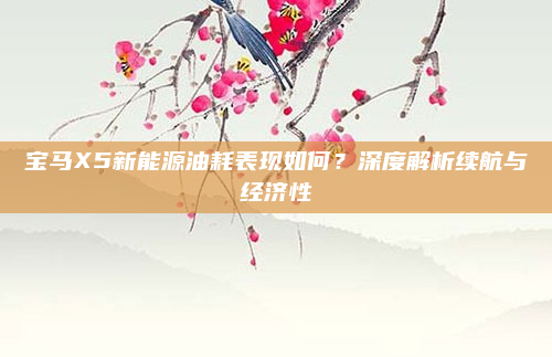 宝马X5新能源油耗表现如何?深度解析续航与经济性