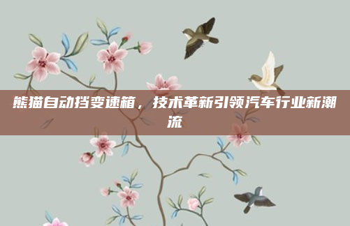 熊猫自动挡变速箱，技术革新引领汽车行业新潮流