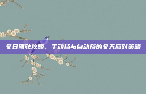 冬日驾驶攻略，手动挡与自动挡的冬天应对策略