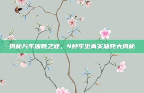 揭秘汽车油耗之谜，4种车型真实油耗大揭秘
