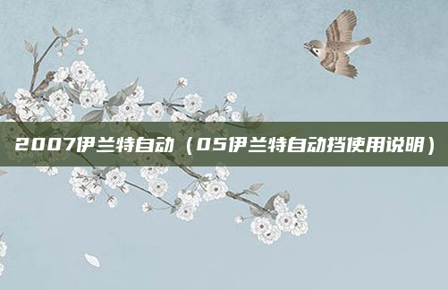 2007伊兰特自动（05伊兰特自动挡使用说明）
