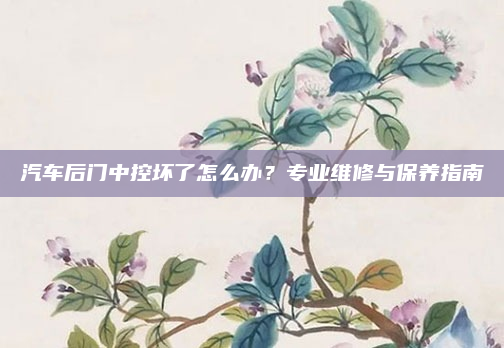 汽车后门中控坏了怎么办？专业维修与保养指南