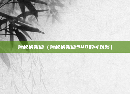 标致换机油（标致换机油540的可以吗）