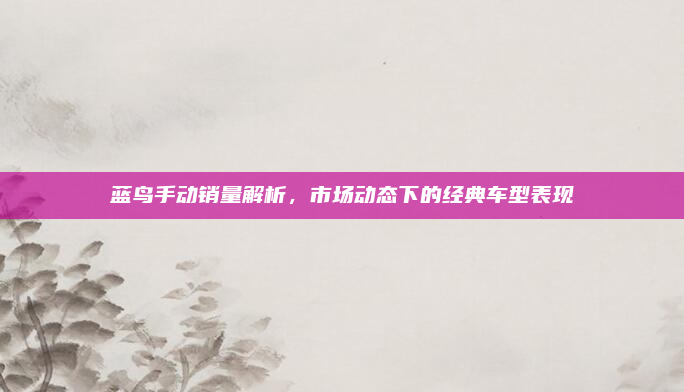 蓝鸟手动销量解析，市场动态下的经典车型表现