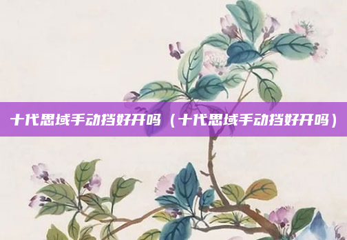 十代思域手动挡好开吗（十代思域手动挡好开吗）