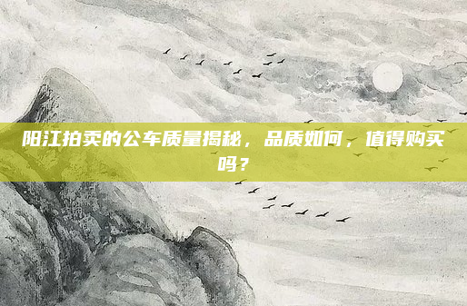阳江拍卖的公车质量揭秘，品质如何，值得购买吗？