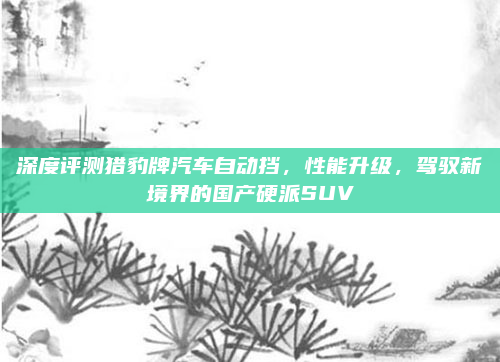 深度评测猎豹牌汽车自动挡，性能升级，驾驭新境界的国产硬派SUV