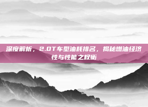 深度解析,2.0T车型油耗排名,揭秘燃油经济性与性能之权衡