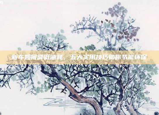 新车如何降低油耗,五大实用技巧助你节能环保