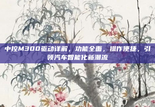 中控M300驱动详解,功能全面,操作便捷,引领汽车智能化新潮流