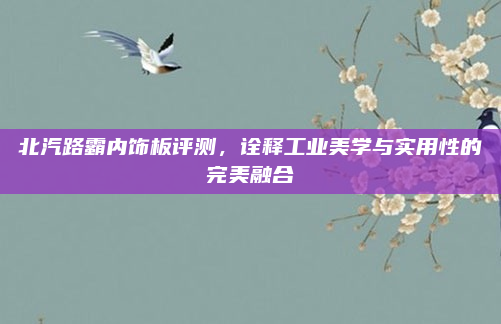 北汽路霸内饰板评测,诠释工业美学与实用性的完美融合