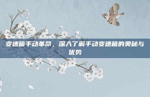 变速箱手动革命，深入了解手动变速箱的奥秘与优势