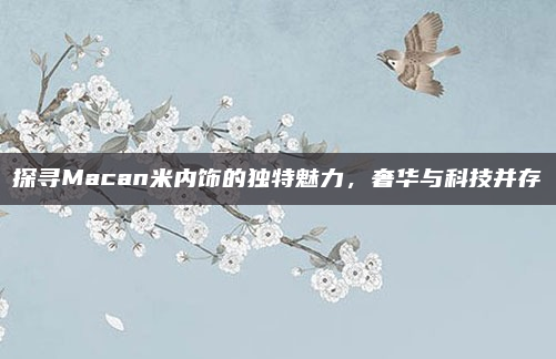 探寻Macan米内饰的独特魅力，奢华与科技并存