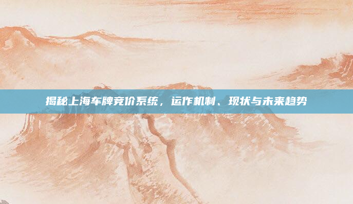 揭秘上海车牌竞价系统，运作机制、现状与未来趋势