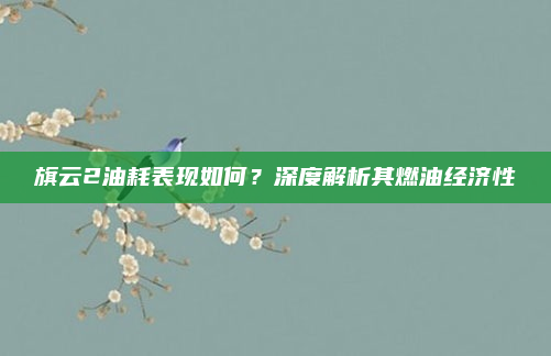 旗云2油耗表现如何？深度解析其燃油经济性