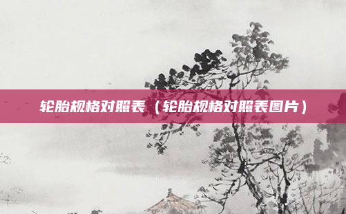 轮胎规格对照表（轮胎规格对照表图片）