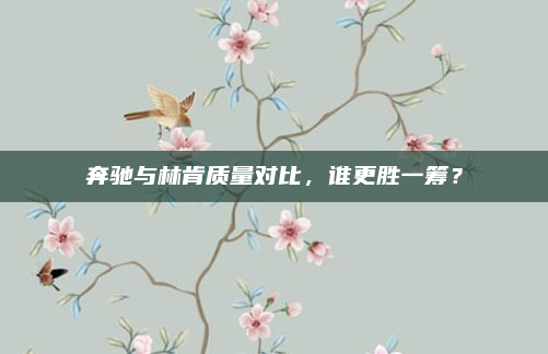 奔驰与林肯质量对比，谁更胜一筹？