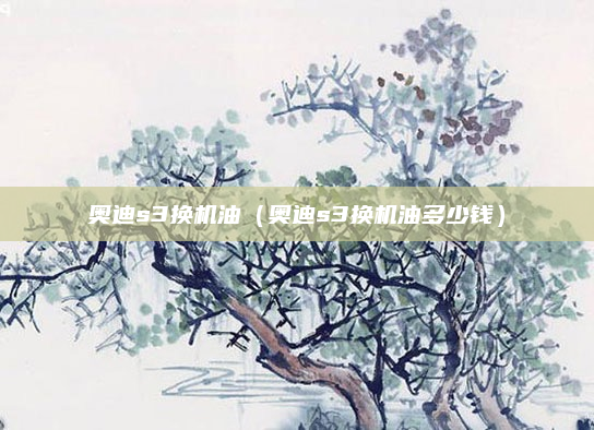 奥迪s3换机油（奥迪s3换机油多少钱）