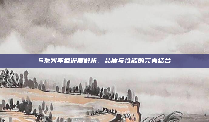 S系列车型深度解析，品质与性能的完美结合