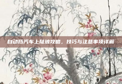 自动挡汽车上陡坡攻略,技巧与注意事项详解