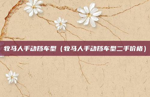 牧马人手动挡车型（牧马人手动挡车型二手价格）