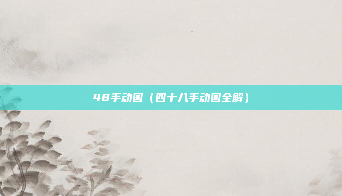 48手动图（四十八手动图全解）