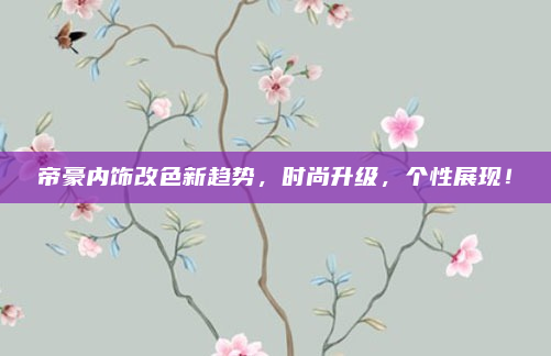 帝豪内饰改色新趋势，时尚升级，个性展现！